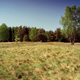 Illustration for article titled Can you spot the camouflaged snipers hiding in these photographs?